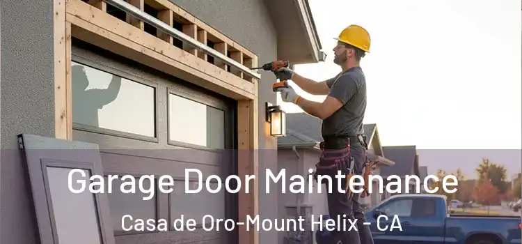 Garage Door Maintenance Casa de Oro-Mount Helix - CA