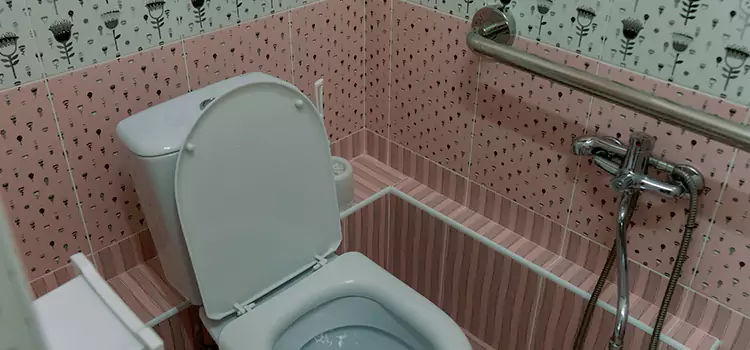 Meeting Diverse Needs With Accessible Restroom Solutions in Casa de Oro-Mount Helix, CA