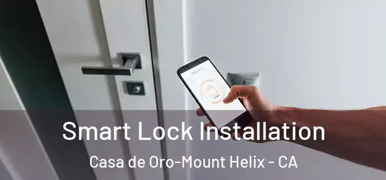 Smart Lock Installation Casa de Oro-Mount Helix - CA